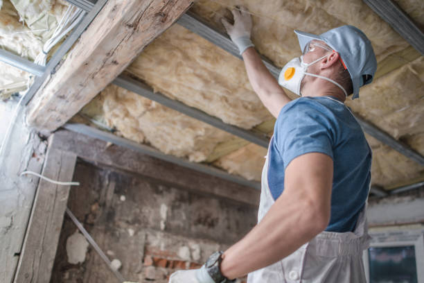 Best DIY Insulation Kits and Guidance in Metamora, IL