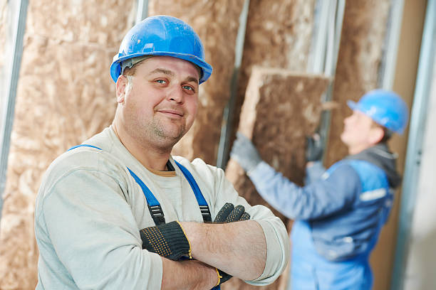 Best Geographic-Specific Insulation Services in Metamora, IL